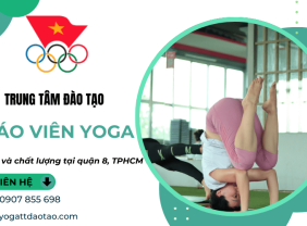 Trung tâm đào tạo giáo viên yoga uy tín và chất lượng tại quận 8, TPHCM