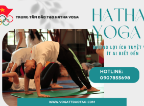 Hatha Yoga và những lợi ích tuyệt vời ít ai biết đến